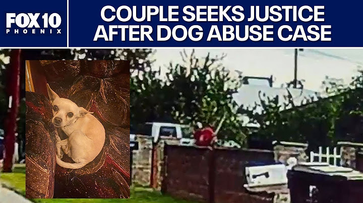 Family shocked to see what dash cam revealed | FOX 10 Phoenix