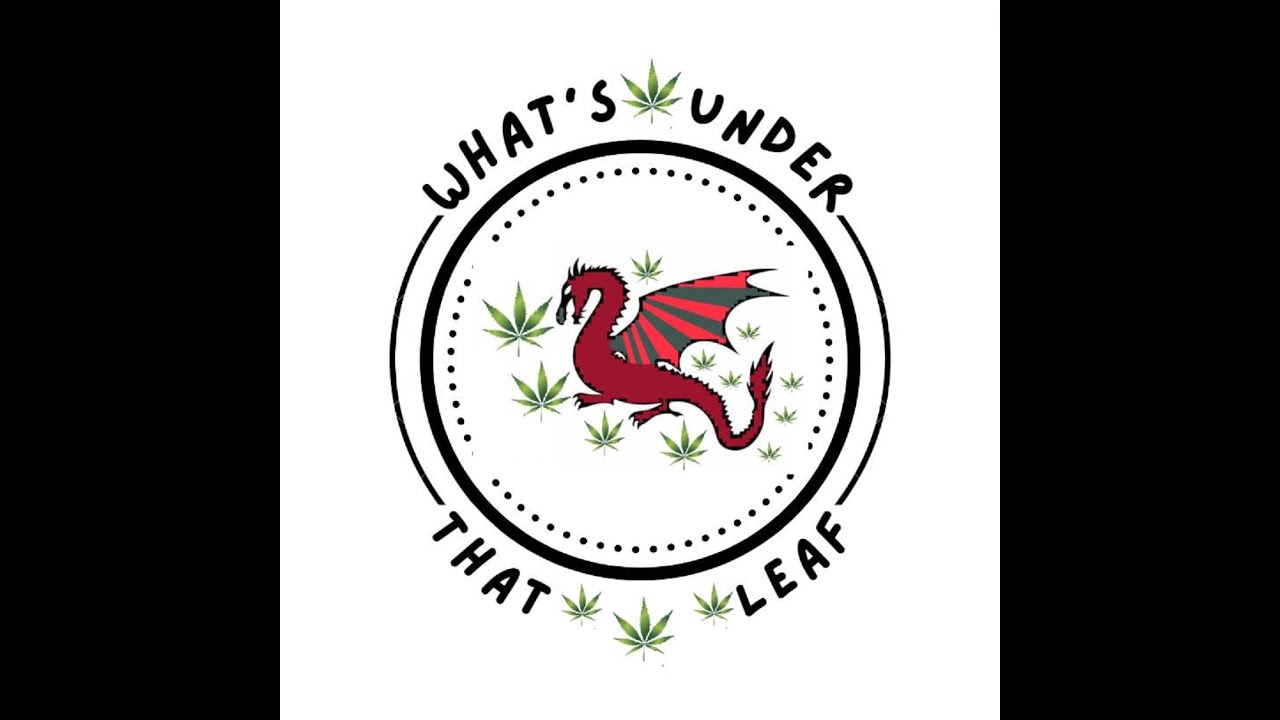 What's Under That Leaf Review Episode #20 Pure Sunfarm's "Pink Kush" dry flower.