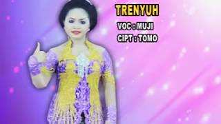 Download lagu Muji - Trenyuh