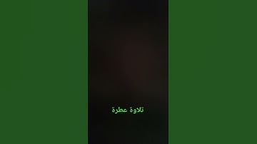تلاوة عطرة #القرآن_الكريم #راحة_نفسية #صلوا_على_النبي #تلاوة_خاشعة