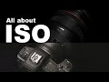 All about ISO and noise every photographer and filmmaker have to know!