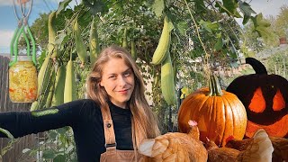 The Chickens Carved A Pumpkin! ( A Day In My Life Vlog )