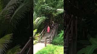 Hidden Trails Track near Singapore