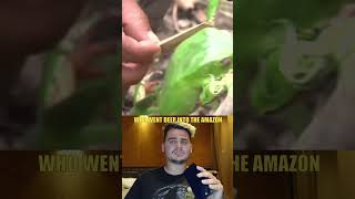 Trippy Frogs of the Amazon
