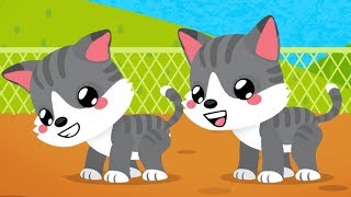 Kediler Şarkısı - Saymayı Öğreten Çocuk Şarkısı