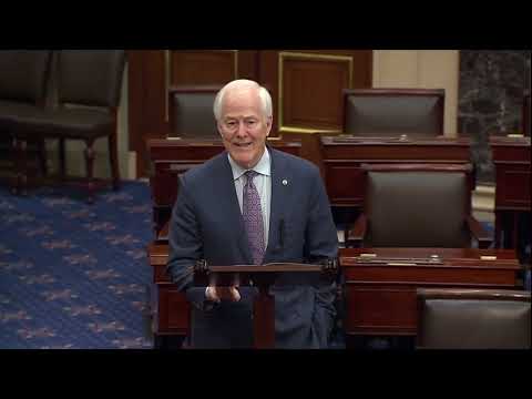Senator John Cornyn Criticizes Biden's Immigration Policies at Senate Judiciary Subcommittee Hearing