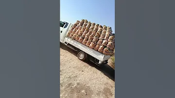 بورتر 4طن حموله اكسبلور ادلب Automobile الاردن لايك متابعه ترند سوريا دويتو العراق 