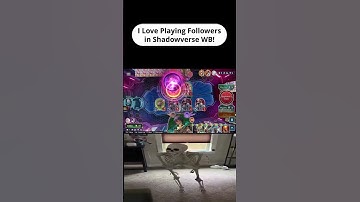 How Many Times Can Haven Wipe Your Board? #shadowverseworldsbeyond  #gaming