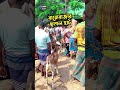 বারোবাজার ছাগল হাট