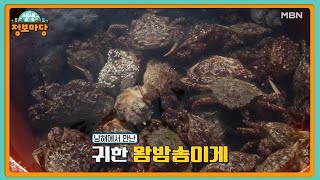 생생 정보마당 [1072회] MBN 220321 방송