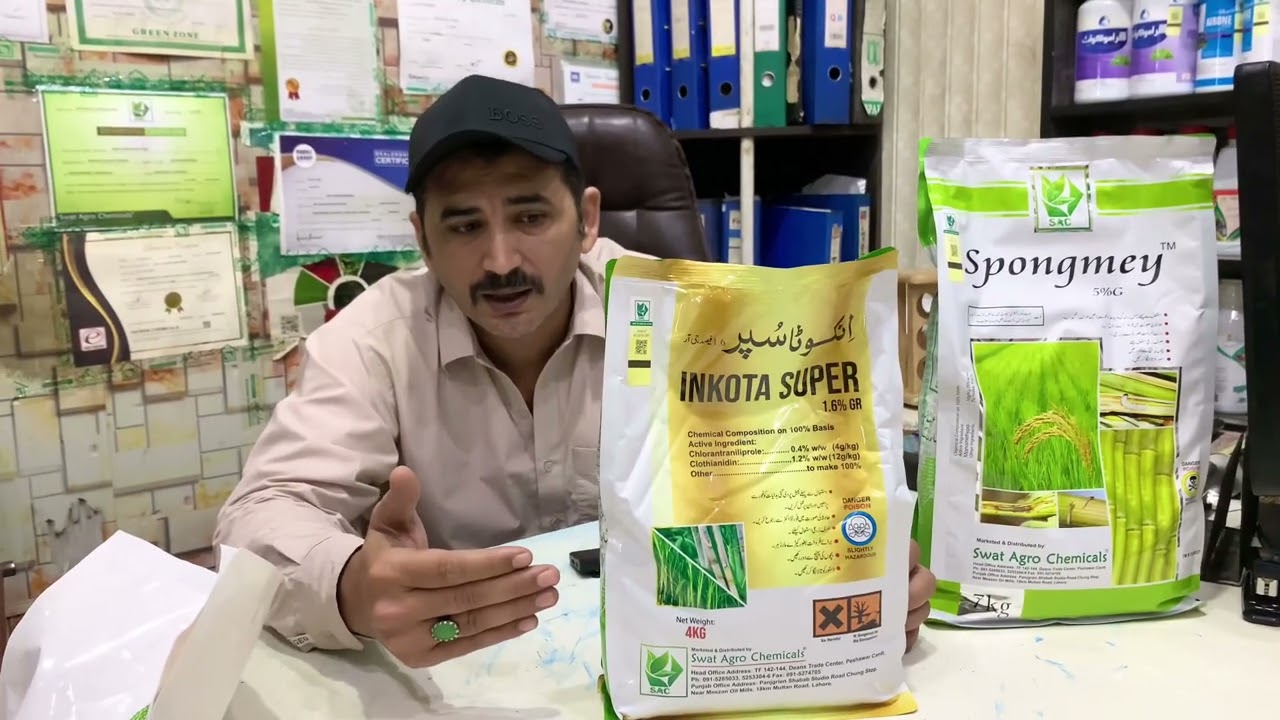 Granular insecticide to be used in Rice Crop for borer and leaf folder | spongmey and Inkota super