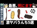 【これでたら病院行け!】見逃したら死ぬヤバい便5選【便器でわかる寿命】【ゆっくり解説】