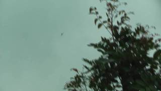 L39-720P.wmv