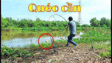 Câu cá tra sông lên hàng ngon / river fishing || Cúc Nguyễn Official