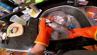 Diy How To Easily Clean Ribbon Fish Aka Belt Fish 미국 갈치