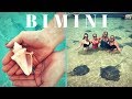 Swimming with Stingrays in Honeymoon Harbor - Resorts World Bimini