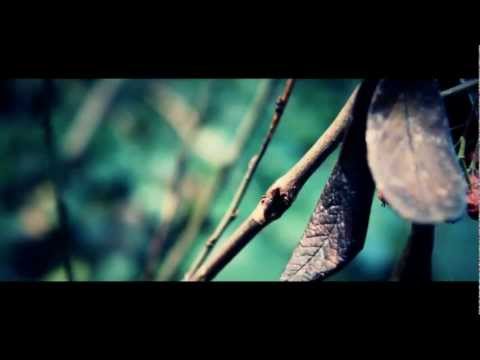 Forever Autumn