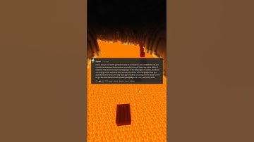 If you could go back in time for a day to witness a historic event which would you choose