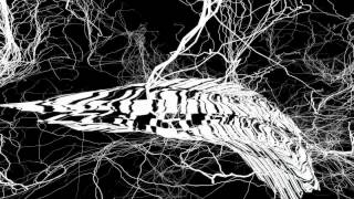 Space Wire