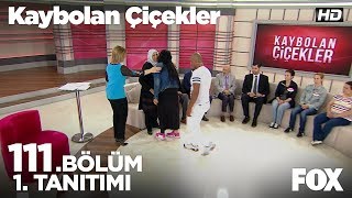 Kaybolan Çiçekler 111. Bölüm 1.Tanıtımı