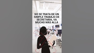 ¿Que es un/a asistente virtual?