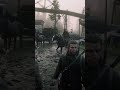 2019 red dead online footage #reddeadonline