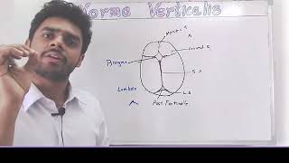 Neck Norma Verticalis Discussed In Detail With Each And Every Landmarks