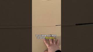 Unexpected Lifehack that will make the NEIGHBORS say WOW 😱🦊