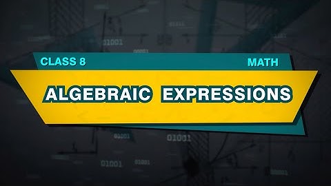 Algebraic Expressions (Basics) - Introduction | Educational Videos for Kids - Pari TV | 4K Video
