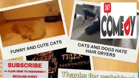 Robots are not perfect Funny robot fail compilation