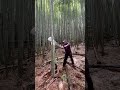 自分を欺かねば天下に敵無し、今ある環境の中から価値を見いだす。
