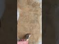amazing wall painting hacks|Trending Wall painting2024