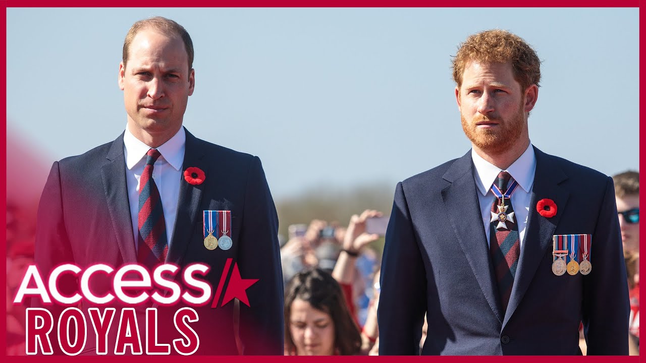 Inside Prince Harry & Prince William's Brotherly Feud