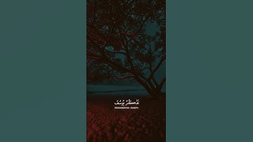 (قال إنما أشكو بثي وحزني إلى الله) #القارئ أحمد خضر#