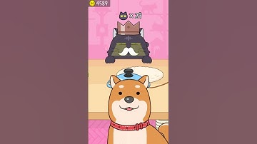 Hide and Seek: Cat Escape! 👀🐱127 Endless Mode Gameplay Walkthrough | Best Android, iOS Games #shorts