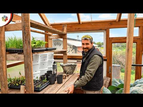 My New Favorite Corner on the Mini Farm 🧑‍🌾