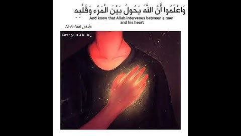 حالات واتس اب القران الكريم #واتساب #فيسبوك #انستغرام #يوتيوب #رمضان_كريم