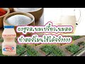 ทำฮอร์โมนนมสดกับผงชูรสใช้ได้จริงประหยัดจัง