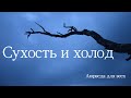 Сухость и холод. Аюрведа для всех.