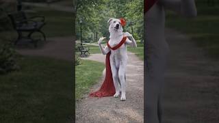 Tohra pyar ka amrit peeke#reelsusa#travelusa#roadtripusa#kaalubhura828K#usareels  #Dance monkey b9b