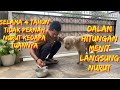 GOLDY , ANJING YANG TIDAK PERNAH NURUT SAMA TUANNYA SELAMA 4 TAHUN