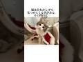 猫が首をかしげて見つめる理由！【猫の雑学】猫の秘密を暴露8選😭#shorts #ねこ動画 #ねこ