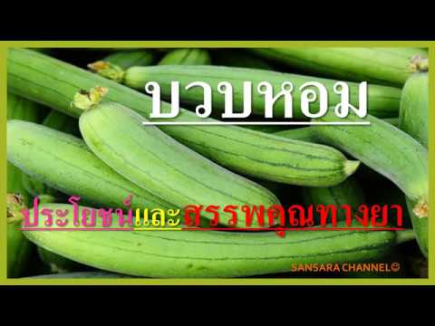 คล็ดลับกับเจ้เล้ง | ทำอาหารด้วยซอสใหม่ กุบเมนู 4 อย่าง ผัดผักบุ้ง, ผัดผักกระเฉด, แกงส้ม, ปลาสลิดทอด . 