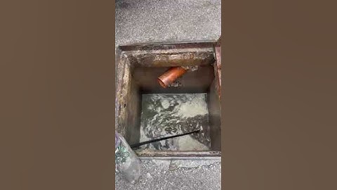 VIDEO 2024 02 15 20 35 25