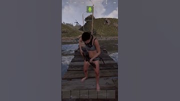 Shark Tank in rust #rust #sharktank