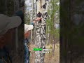 Aspen Trees Facts #nature #naturelovers