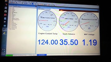 tunerpro RT with moates quarterhorse first run!