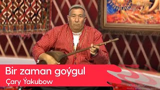 Chary Yakubow - Bir zaman goygul | 2023 Resimi