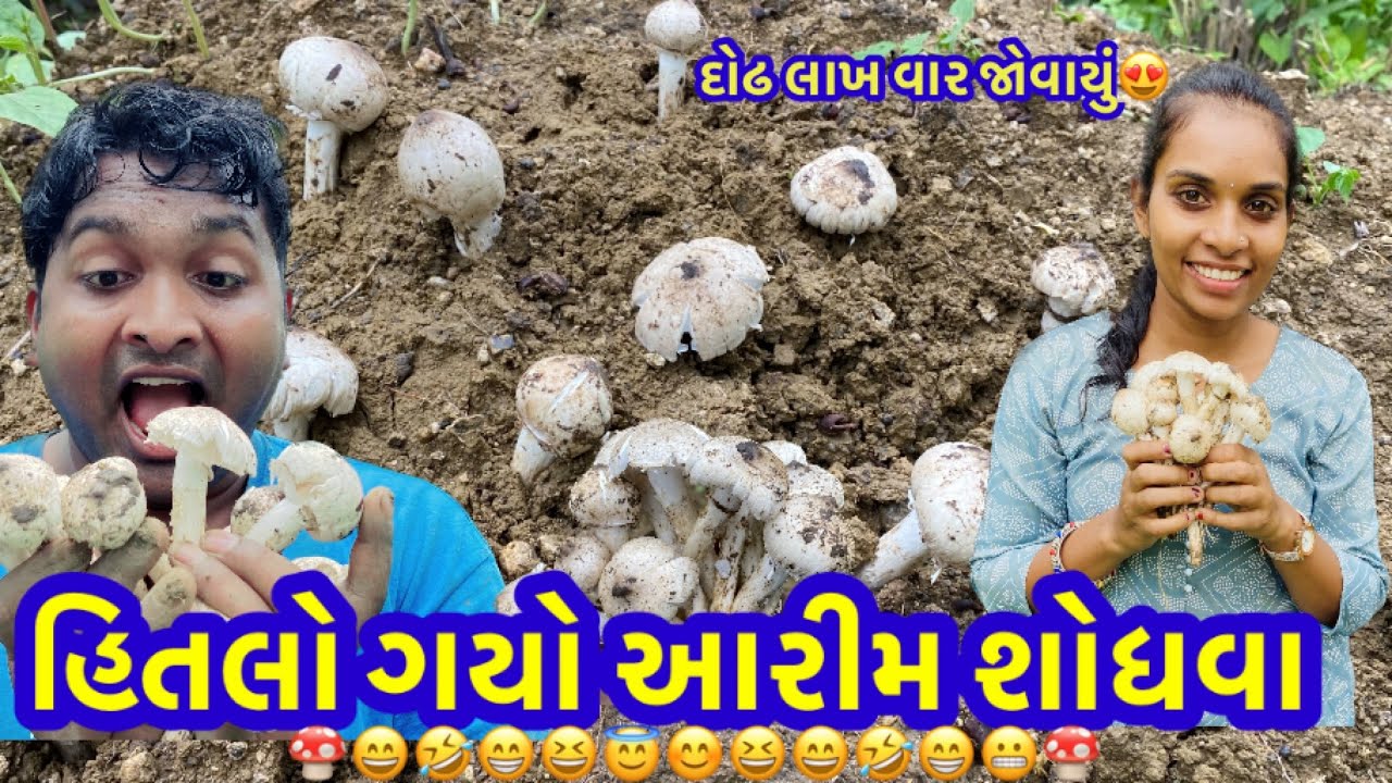 |હિતલો ગયો આરીમ શોધવા|Gujarati Comedy video|hitlo aalim sodhva gayo|Hitlo comedy video|