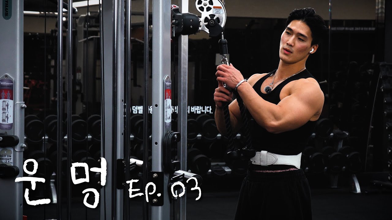 전치 12주 | 병명: 근육통 (질병 코드 M79.1)